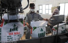 "Quả đấm thép" một thời ngành phân bón báo lãi gấp 15 lần cùng kỳ, vẫn lỗ lũy kế 1.240 tỷ đồng