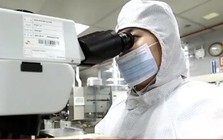 Hàn Quốc tăng tốc chuỗi cung ứng AI bằng lợi thế chip nhớ