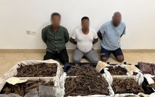 Đột kích biệt thự sang trọng, cảnh sát thu giữ lô hàng trị giá 3,3 triệu USD và lật tẩy màn kịch 'công chúa' lừa đảo
