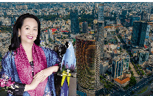 TP.HCM có chỉ đạo mới với loạt dự án liên quan đến Tập đoàn Vạn Thịnh Phát của bà Trương Mỹ Lan