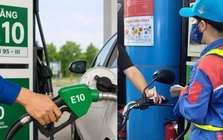 Sau một tháng bán đại trà xăng E10: Không khí cải thiện, tiêu thụ vượt 1 tỷ lít