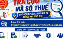 Hướng dẫn tra cứu mã số thuế