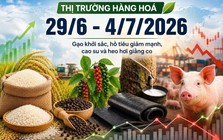 Thị trường hàng hóa tuần qua (29/6 - 4/7): Gạo khởi sắc, hồ tiêu giảm mạnh, cao su và heo hơi giằng co