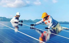 1 ngành học “khát” 100.000 nhân lực: Cơ hội việc làm mở rộng từ Việt Nam tới quốc tế, thu nhập tăng theo kinh nghiệm lên đến hơn 100 triệu đồng/tháng