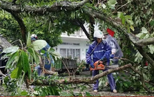 Quảng Ninh thiệt hại khoảng 20 tỷ đồng do bão số 1