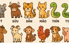 1 tuần nữa 2 con giáp có quý nhân tương trợ, tài lộc ào ạt như nước, 1 con giáp lại cần thận trọng