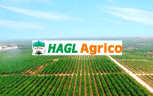 HAGL Agrico sáp nhập ba công ty con tại Lào