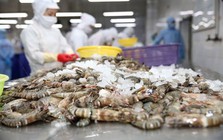 Công ty thủy sản đầu tiên mở màn kết quả quý II: Doanh số 6 tháng giảm gần 21%