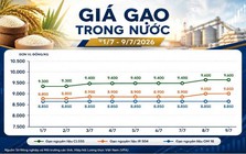Thị trường hàng hóa ngày 9/7: Hồ tiêu phục hồi, cao su giữ đà tăng