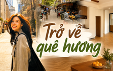Sau một năm bỏ phố về quê, tôi nhận ra: Quyết định tài chính đúng không phải lúc nào cũng là kiếm nhiều tiền hơn