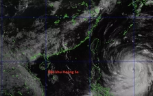 Siêu bão Bavi có thể đổ bộ đất liền tương đương Yagi