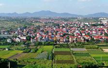 Cẩn trọng với giao dịch đất nông nghiệp bằng giấy viết tay