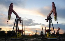 Giá dầu lại tăng thốc trong nghi ngờ
