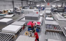 Tuấn Anh Group chính thức được HNX chấp thuận đăng ký giao dịch, 33 triệu cổ phiếu V68 sẽ chào sàn ngày 18/8