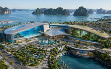 Thuỷ cung Vingroup đầu tư lớn cỡ nào, mà gấp 6 lần ở Trung Quốc, vượt kỷ lục Guiness hiện tại?