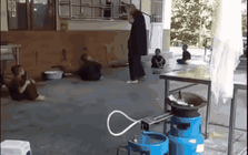 Phẫn nộ cảnh người đàn ông đánh đập cháu bé dã man ở chùa Bầu, Phú Thọ