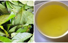 Điều gì sẽ xảy ra với cơ thể nếu bạn uống nước chè xanh mỗi ngày?