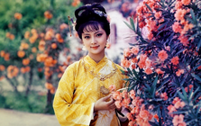 Con đường thành đại gia trăm triệu USD của mỹ nhân 'Hồng lâu mộng'