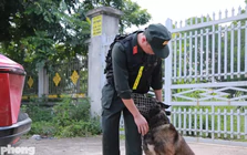 An ninh siết chặt, cảnh khuyển được huy động tại điểm thi lại ở Tuyên Quang