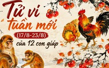 Tử vi tuần mới (17/8 - 23/8): Top 4 con giáp có quý nhân vượng nhất, càng chủ động càng gặp nhiều cơ hội