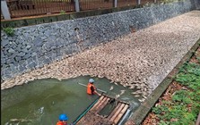 Vừa dọn sạch 5 tấn cá chết, con sông lại liên tiếp xuất hiện cảnh tượng khiến người dân hoảng hốt