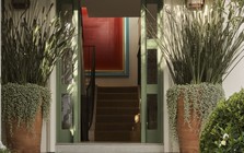 Lưu ý dành cho những gia đình đang trồng cây trước cửa nhà