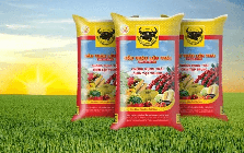 Lợi nhuận “lao dốc”, thù lao nhiều lãnh đạo Phân bón Bình Điền (BFC)  tăng hơn gấp đôi