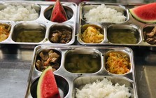 Tất cả các trường sắp phải công khai hình ảnh khay ăn thực tế của học sinh mỗi ngày để phụ huynh giám sát