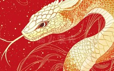 Nửa đầu tháng 7 Âm lịch, 4 con giáp này tưởng xui hóa may, bùng nổ tài lộc: Top 1 tăng mạnh tài sản ròng