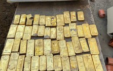 Đi làm thêm, một sinh viên 18 tuổi phát hiện loạt thỏi vàng và đồng xu trị giá 284 tỷ đồng