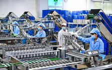Nhập siêu hơn 20 tỷ USD: Áp lực đến từ đâu?
