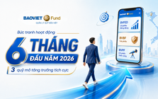 Quỹ mở – Lựa chọn đầu tư cho những ai muốn tích lũy dài hạn