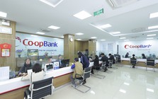 Chính phủ chốt bổ sung 5.000 tỷ đồng từ dự toán ngân sách Nhà nước năm 2026 để nâng vốn điều lệ cho Co-opBank