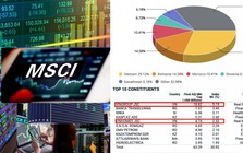 MSCI tái cơ cấu: Cổ phiếu ngân hàng Việt Nam lên ngôi