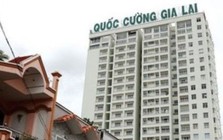 Quốc Cường Gia Lai thay người đại diện phần vốn tại chủ đầu tư Marina Complex