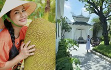Nhà vườn rộng 3.000m2 của người đẹp Tây Đô Việt Trinh