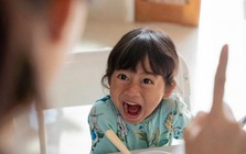 Trẻ “hay cãi” và “không cãi” từ nhỏ: Càng lớn càng khác biệt rõ rệt, bố mẹ biết sớm ngày nào hay ngày đó