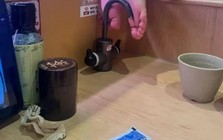 Bé trai giẫm chân lên vòi nước uống ở nhà hàng: “Trẻ con biết gì đâu” - Câu nói đã làm hỏng biết bao đứa trẻ!