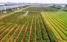 Hà Nội: Xây dựng dữ liệu đất đai đi trước một bước, tạo nền tảng quản trị hiện đại