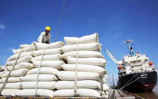 Giá gạo xuất khẩu đồng loạt tăng