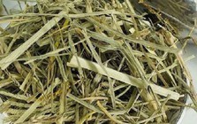 Thứ cỏ mọc dại "nhổ đi không hết" lại là vị thuốc quý giúp thanh nhiệt, mát gan