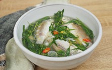Vào thu, đừng bỏ qua 4 loại cá này: Được ví như “trợ thủ” cho tỳ vị, giúp cơ thể khỏe mạnh và tăng sức đề kháng