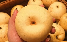 Mùa thu lê ngon rẻ, nhưng có 2 loại quả bị đồn tuyệt đối không nên ăn cùng: Sự thật khiến nhiều người bất ngờ