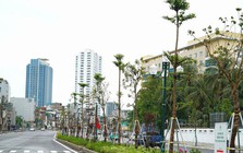 Đề xuất phương án lưu thông trên đường Vành đai 1, đoạn Hoàng Cầu - Voi Phục