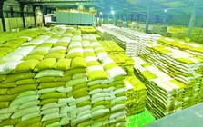Gạo Việt Nam, Thái Lan bất ngờ bị một đối thủ mới vượt mặt tại Philippines, mới xuất hiện đã được trả giá cao kỷ lục