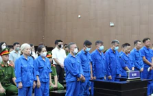 Vụ ông Nguyễn Bá Hoan: Phí cấp phép 5 triệu đồng, giám đốc công ty luật thu từ 650 triệu đến 1 tỷ đồng/hồ sơ