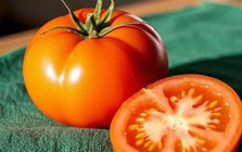 Cà chua tốt nhưng 8 nhóm người này nên hạn chế ăn kẻo "hối hận"