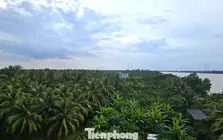 Xem xét trách nhiệm nguyên Phó Chủ tịch tỉnh Bến Tre cũ vì giao đất sai