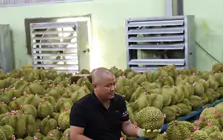 Để nông sản tỷ đô không vỡ trận xuất khẩu: Gian nan tìm 'hộ chiếu'