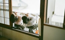 4 kiểu "thông minh giả tạo" ở trẻ mà bố mẹ đừng vội mừng, tương lại thật ra khó thành công